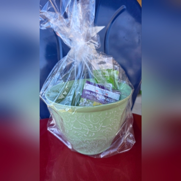 Gardening Set with Pot, Gloves, and Seeds - Picture 3 of 6